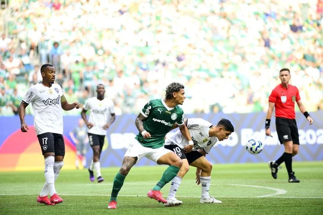 Palmeiras vs Botafogo